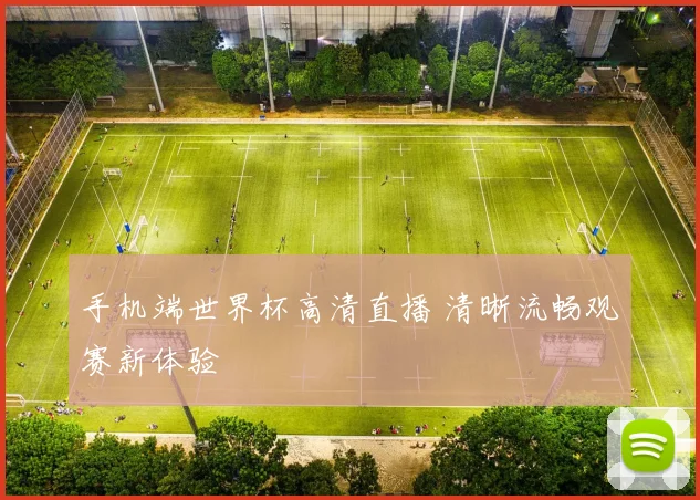 手机端世界杯高清直播 清晰流畅观赛新体验