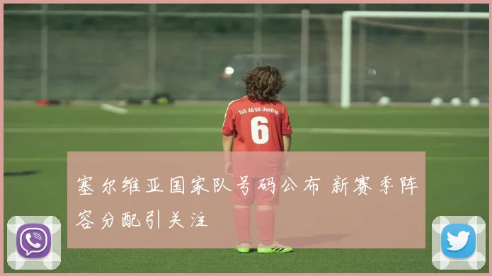 塞尔维亚国家队号码公布 新赛季阵容分配引关注