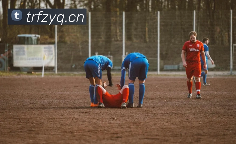 开云手机登录官网平台生态图